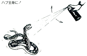 全身に吹き付けます。