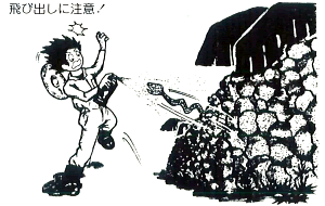 飛び出しに注意。