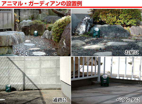アニマル・ガーディアンの設置写真