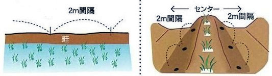田畑への設置例