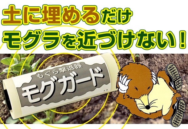 土に埋めるだけでモグラを近づけない