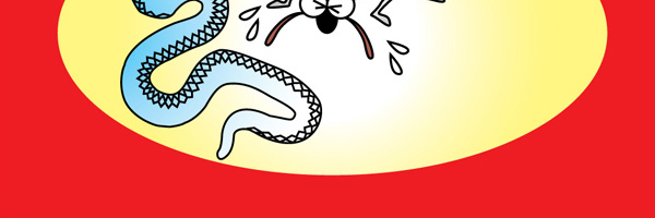 適用:ヘビ、ムカデ、トカゲ、イモリ、ヤモリ