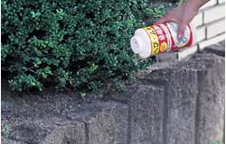 wrAJf̚ko𗘗pASȊ܂łB