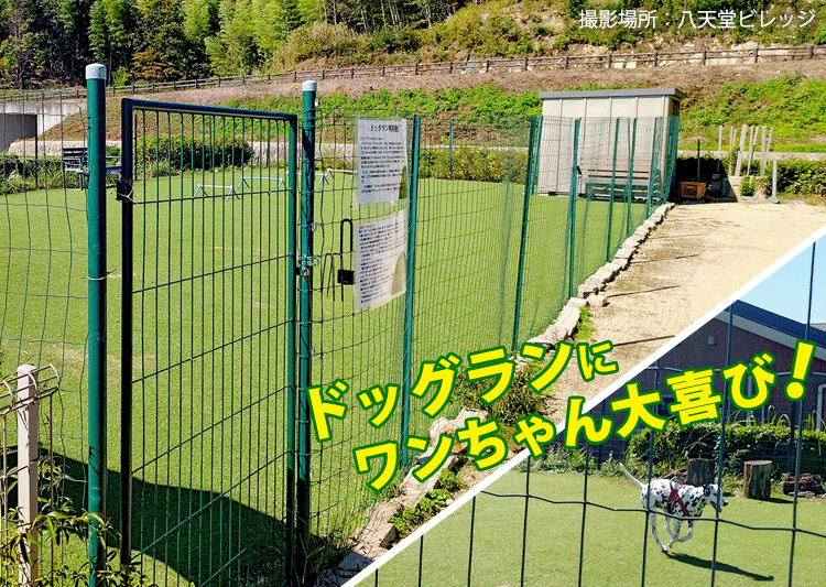 ドッグラン設置例