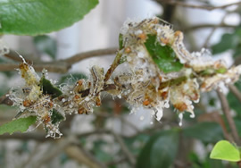 iʐ^j`hNKŐjьŒ܎gp