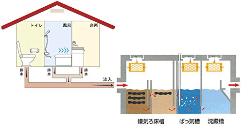 パナジョウカPROについて