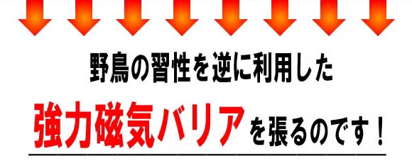 野鳥の習性を利用