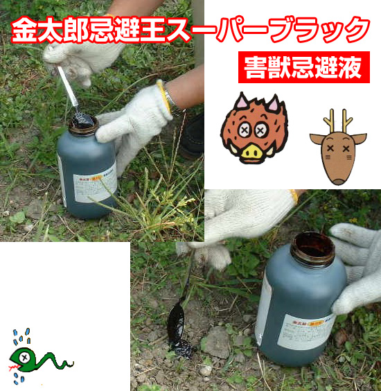 金太郎忌避王スーパーブラック