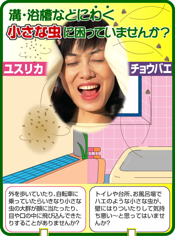 気になる小さな虫の正体は?