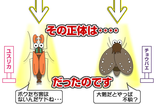 ユスリカ、チョウバエ