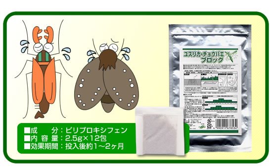 内容量・成分など
