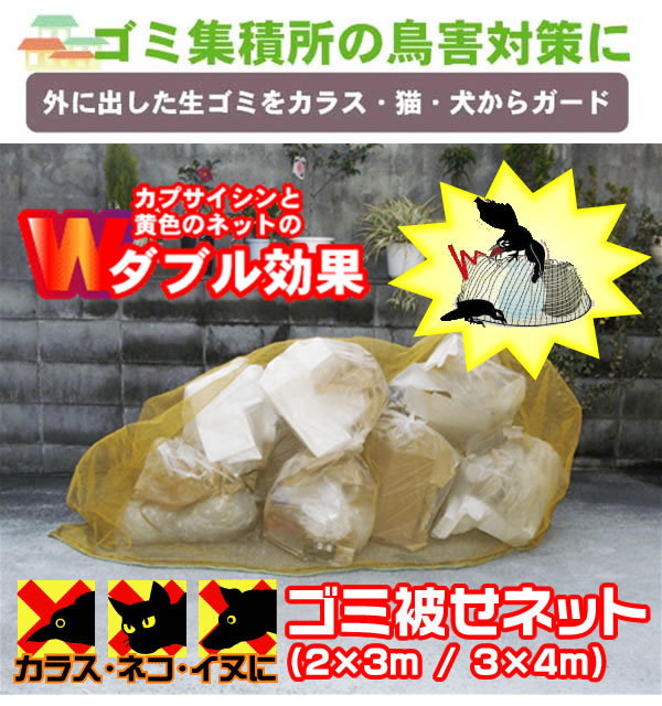 S~WϏ̒QElRAQɃS~킹lbg