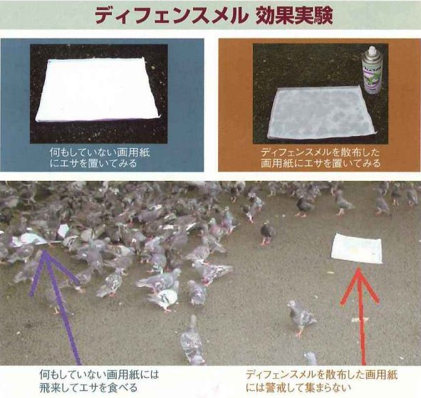 ディフェンスメル効果実験