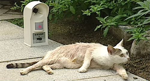 ガーデンバリアテスト1