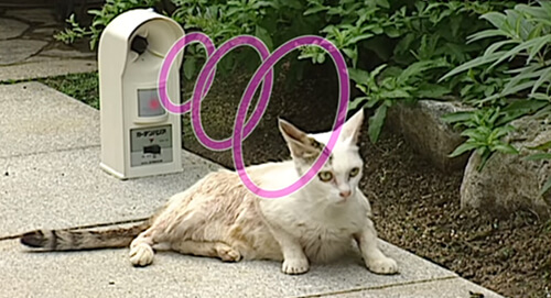 ガーデンバリアテスト2