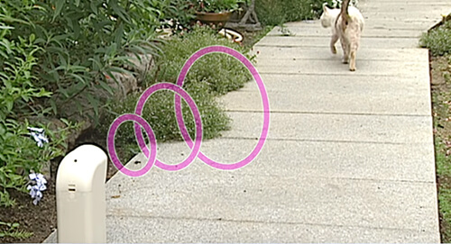 ガーデンバリアテスト3