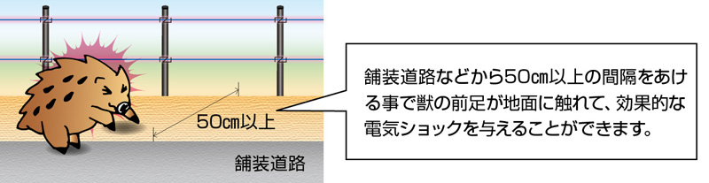 電気柵は舗装道路から離して設置しましょう。