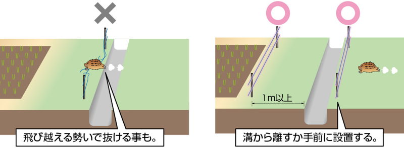 電気柵は溝などの飛び越える場所の近くに設置しないでください。
