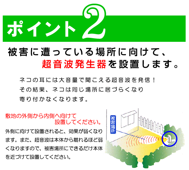 併用おすすめ商品