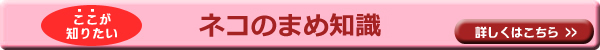 ネコまめ知識