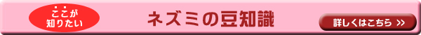 ネズミの豆知識